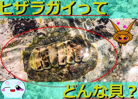 Thumbnail of post image 040